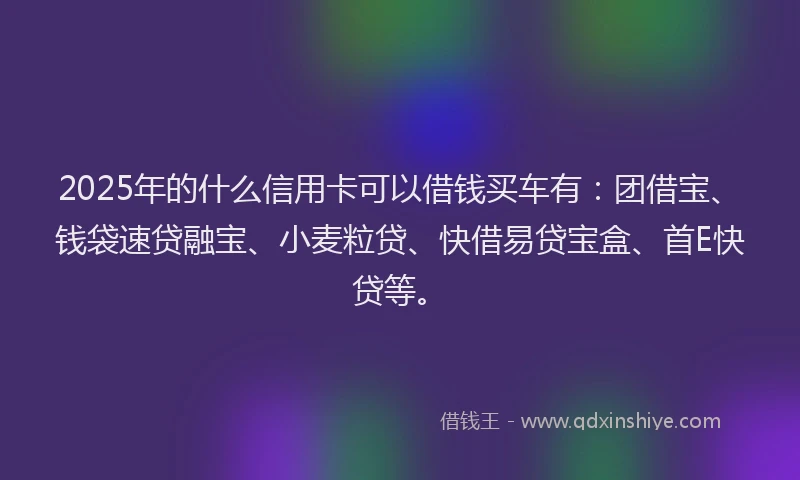 2025年的什么信用卡可以借钱买车有：团借宝、钱袋速贷融宝、小麦粒贷、快借易贷宝盒、首E快贷等。