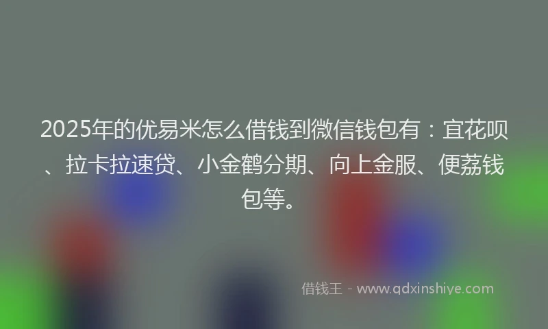 2025年的优易米怎么借钱到微信钱包有：宜花呗、拉卡拉速贷、小金鹤分期、向上金服、便荔钱包等。