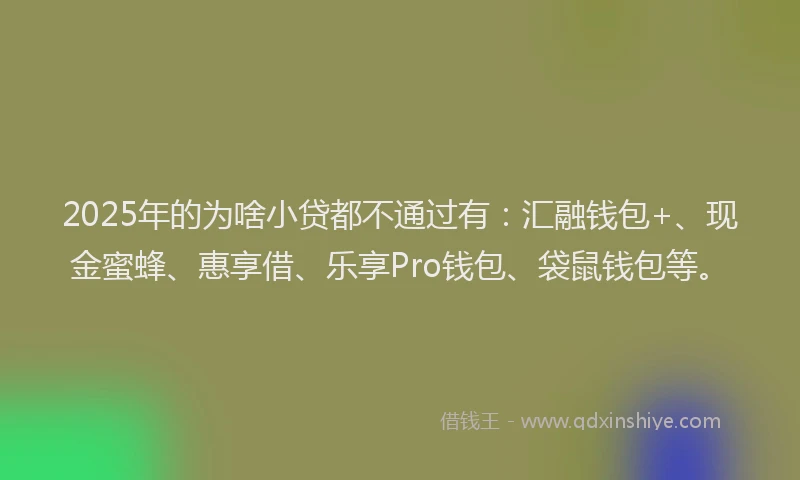 2025年的为啥小贷都不通过有：汇融钱包+、现金蜜蜂、惠享借、乐享Pro钱包、袋鼠钱包等。