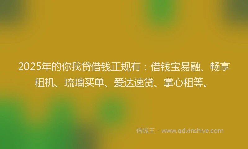 2025年的你我贷借钱正规有：借钱宝易融、畅享租机、琉璃买单、爱达速贷、掌心租等。