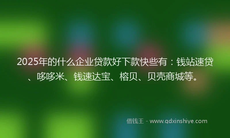 2025年的什么企业贷款好下款快些有：钱站速贷、哆哆米、钱速达宝、榕贝、贝壳商城等。