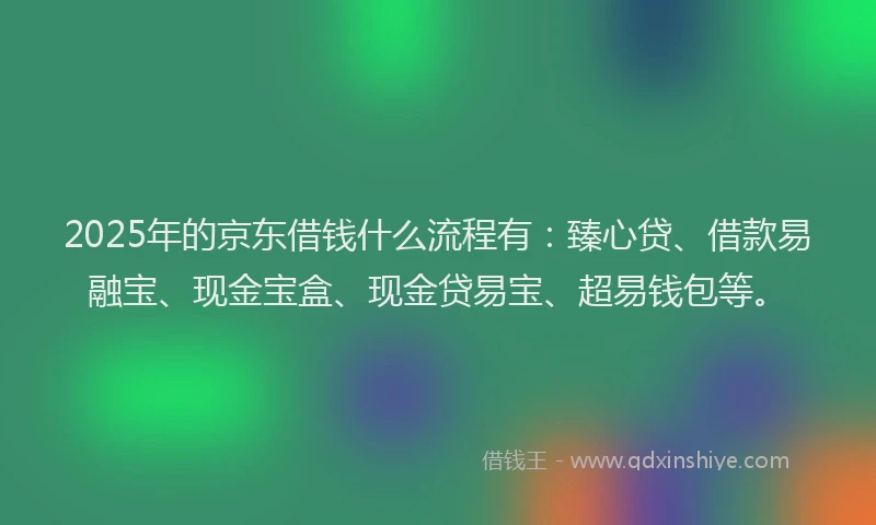 2025年的京东借钱什么流程有：臻心贷、借款易融宝、现金宝盒、现金贷易宝、超易钱包等。