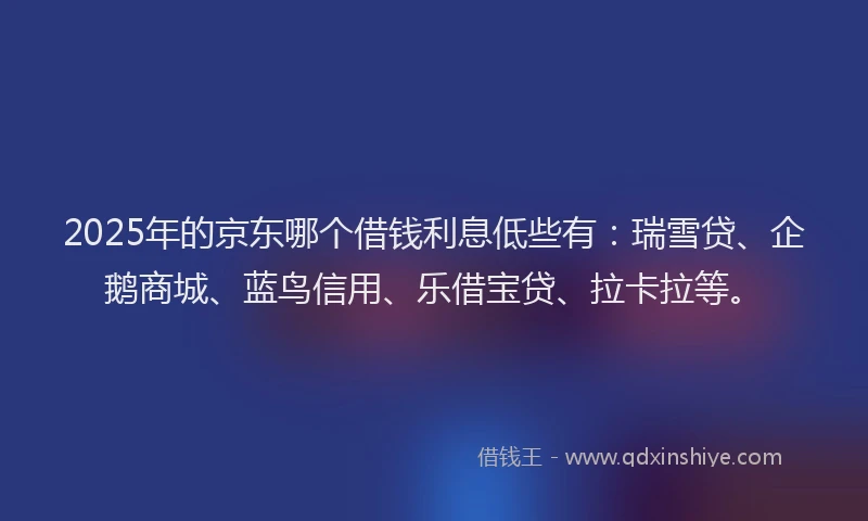 2025年的京东哪个借钱利息低些有：瑞雪贷、企鹅商城、蓝鸟信用、乐借宝贷、拉卡拉等。