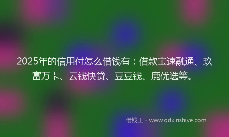 2025年的信用付怎么借钱有：借款宝速融通、玖富万卡、云钱快贷、豆豆钱、鹿优选等。