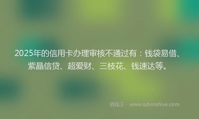 2025年的信用卡办理审核不通过有：钱袋易借、紫晶信贷、超爱财、三枝花、钱速达等。