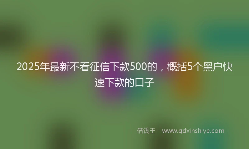2025年最新不看征信下款500的，概括5个黑户快速下款的口子