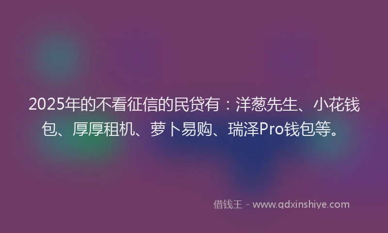 2025年的不看征信的民贷有：洋葱先生、小花钱包、厚厚租机、萝卜易购、瑞泽Pro钱包等。