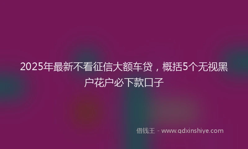2025年最新不看征信大额车贷，概括5个无视黑户花户必下款口子