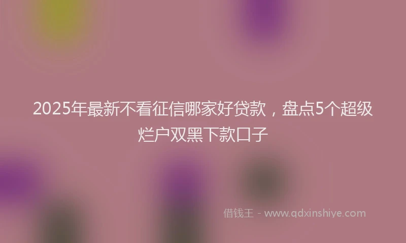 2025年最新不看征信哪家好贷款，盘点5个超级烂户双黑下款口子