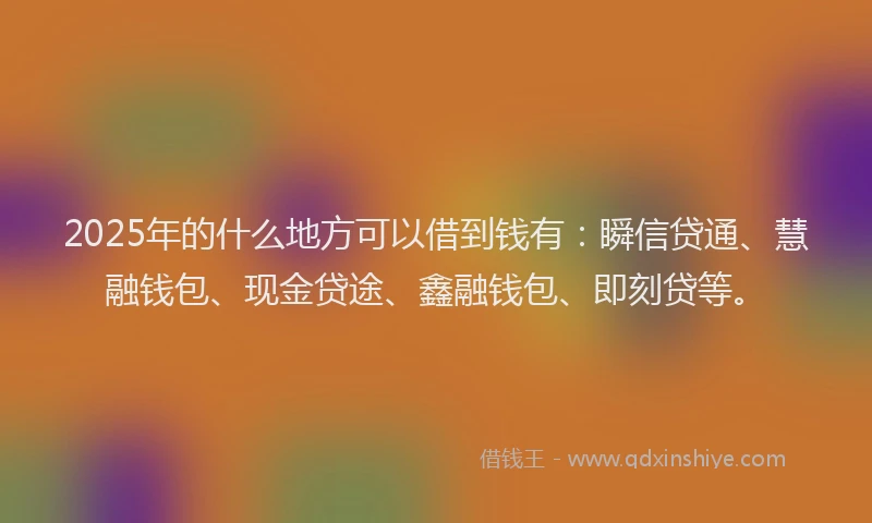 2025年的什么地方可以借到钱有：瞬信贷通、慧融钱包、现金贷途、鑫融钱包、即刻贷等。