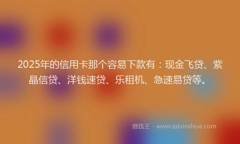 2025年的信用卡那个容易下款有：现金飞贷、紫晶信贷、洋钱速贷、乐租机、急速易贷等。