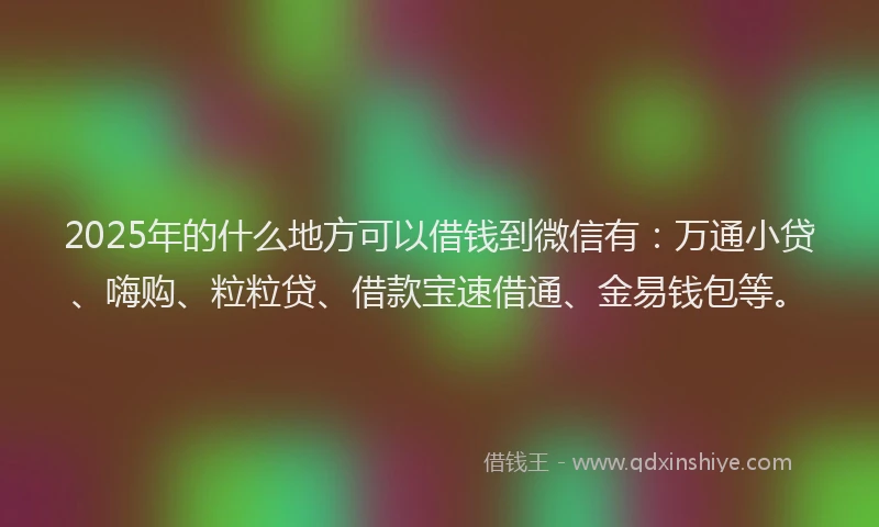 2025年的什么地方可以借钱到微信有：万通小贷、嗨购、粒粒贷、借款宝速借通、金易钱包等。