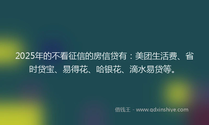 2025年的不看征信的房信贷有：美团生活费、省时贷宝、易得花、哈银花、滴水易贷等。