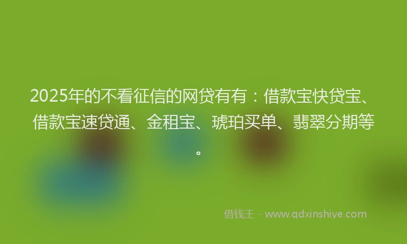 2025年的不看征信的网贷有有：借款宝快贷宝、借款宝速贷通、金租宝、琥珀买单、翡翠分期等。