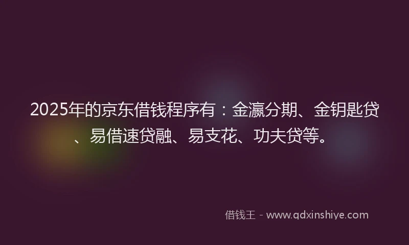 2025年的京东借钱程序有：金瀛分期、金钥匙贷、易借速贷融、易支花、功夫贷等。