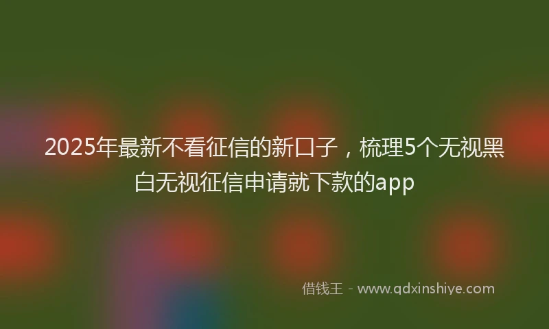 2025年最新不看征信的新口子，梳理5个无视黑白无视征信申请就下款的app