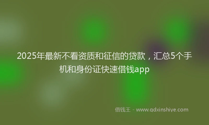 2025年最新不看资质和征信的贷款，汇总5个手机和身份证快速借钱app