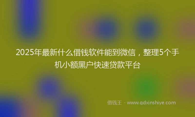 2025年最新什么借钱软件能到微信，整理5个手机小额黑户快速贷款平台