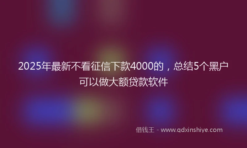 2025年最新不看征信下款4000的，总结5个黑户可以做大额贷款软件