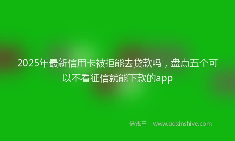 2025年最新信用卡被拒能去贷款吗，盘点五个可以不看征信就能下款的app