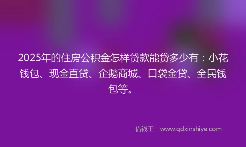 2025年的住房公积金怎样贷款能贷多少有：小花钱包、现金直贷、企鹅商城、口袋金贷、全民钱包等。