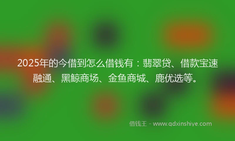 2025年的今借到怎么借钱有：翡翠贷、借款宝速融通、黑鲸商场、金鱼商城、鹿优选等。