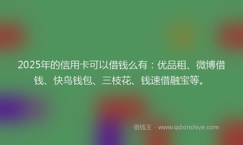 2025年的信用卡可以借钱么有：优品租、微博借钱、快鸟钱包、三枝花、钱速借融宝等。