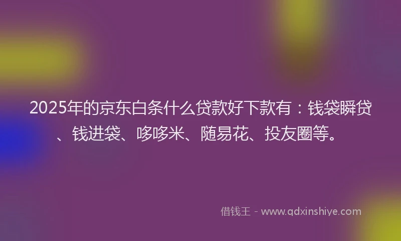 2025年的京东白条什么贷款好下款有：钱袋瞬贷、钱进袋、哆哆米、随易花、投友圈等。