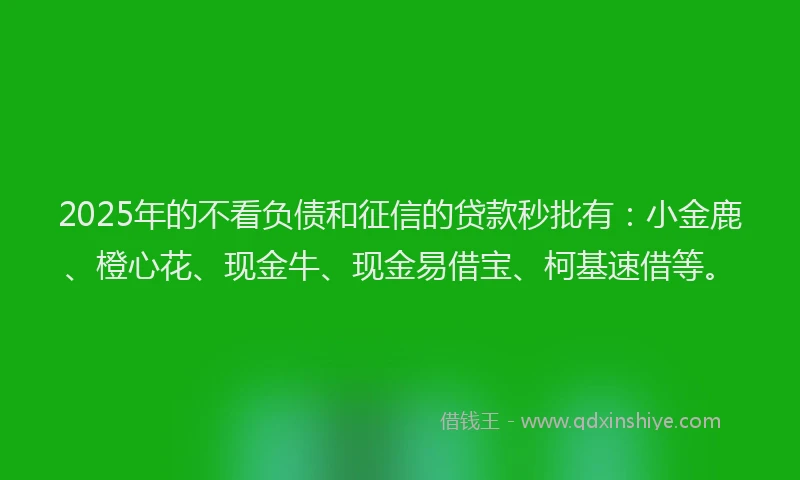2025年的不看负债和征信的贷款秒批有：小金鹿、橙心花、现金牛、现金易借宝、柯基速借等。