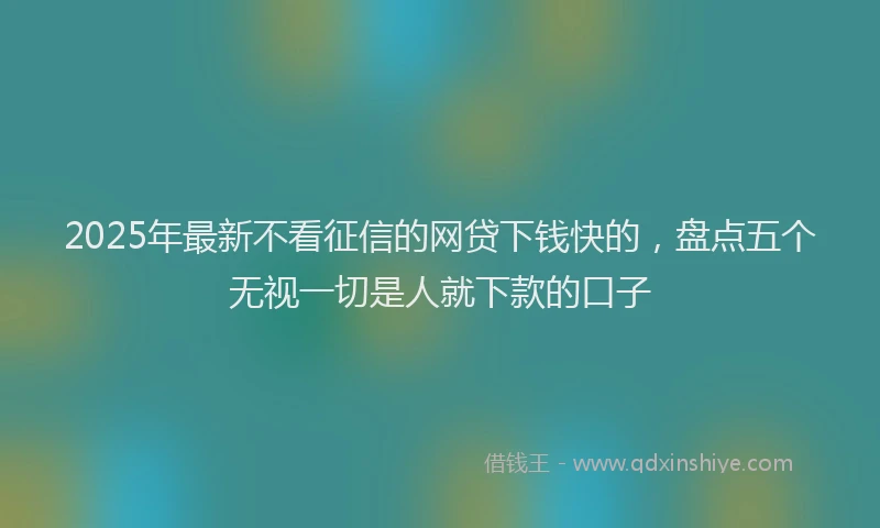 2025年最新不看征信的网贷下钱快的，盘点五个无视一切是人就下款的口子