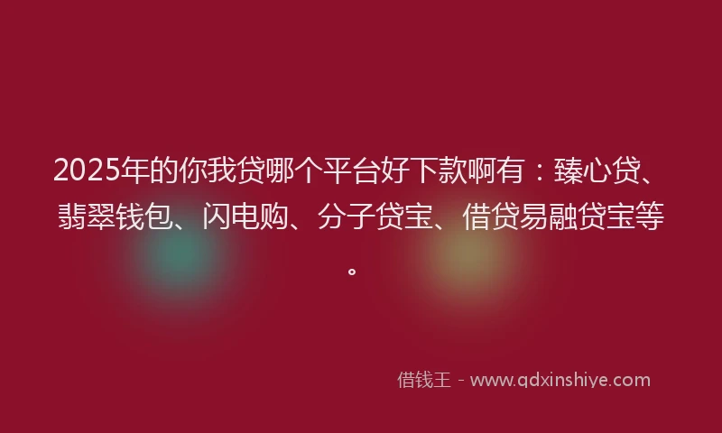 2025年的你我贷哪个平台好下款啊有：臻心贷、翡翠钱包、闪电购、分子贷宝、借贷易融贷宝等。