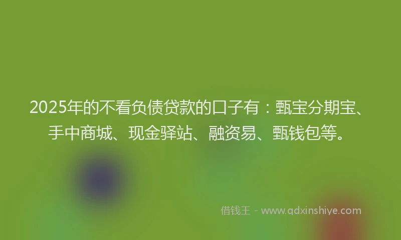 2025年的不看负债贷款的口子有：甄宝分期宝、手中商城、现金驿站、融资易、甄钱包等。