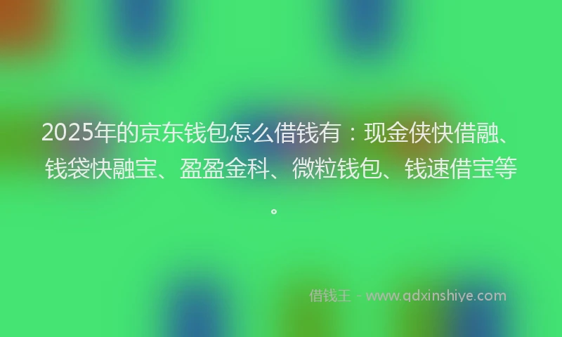 2025年的京东钱包怎么借钱有：现金侠快借融、钱袋快融宝、盈盈金科、微粒钱包、钱速借宝等。