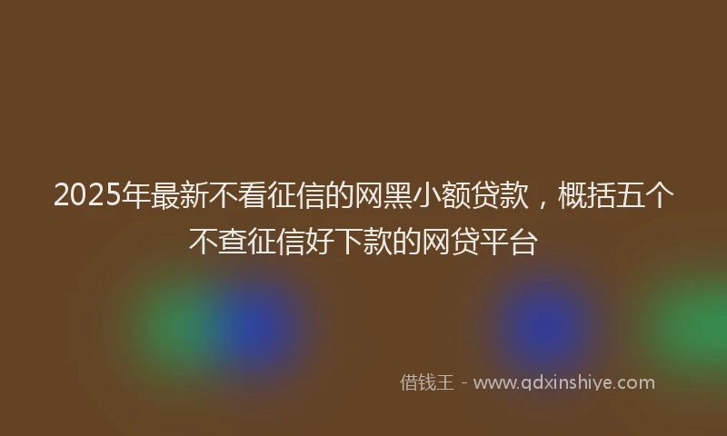 2025年最新不看征信的网黑小额贷款，概括五个不查征信好下款的网贷平台