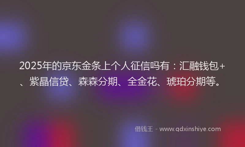 2025年的京东金条上个人征信吗有：汇融钱包+、紫晶信贷、森森分期、全金花、琥珀分期等。
