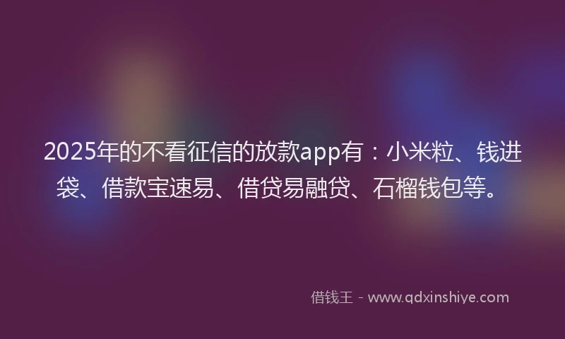 2025年的不看征信的放款app有：小米粒、钱进袋、借款宝速易、借贷易融贷、石榴钱包等。