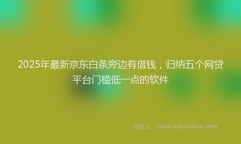 2025年最新京东白条旁边有借钱，归纳五个网贷平台门槛低一点的软件