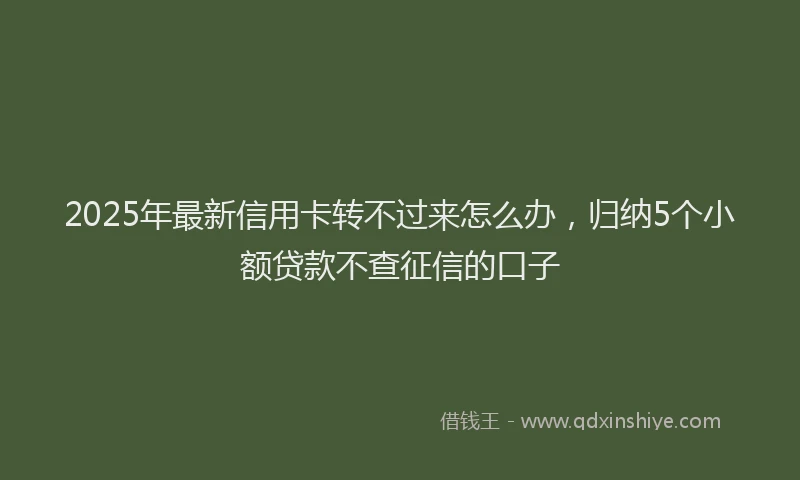 2025年最新信用卡转不过来怎么办，归纳5个小额贷款不查征信的口子