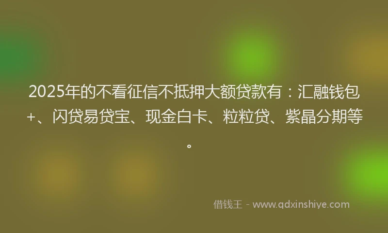 2025年的不看征信不抵押大额贷款有：汇融钱包+、闪贷易贷宝、现金白卡、粒粒贷、紫晶分期等。