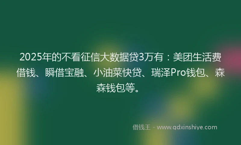 2025年的不看征信大数据贷3万有：美团生活费借钱、瞬借宝融、小油菜快贷、瑞泽Pro钱包、森森钱包等。