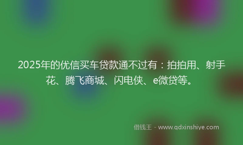 2025年的优信买车贷款通不过有：拍拍用、射手花、腾飞商城、闪电侠、e微贷等。
