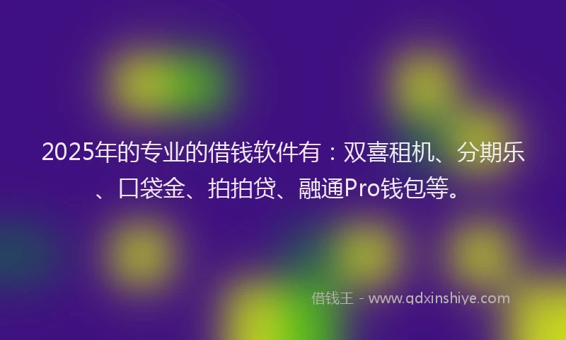 2025年的专业的借钱软件有：双喜租机、分期乐、口袋金、拍拍贷、融通Pro钱包等。