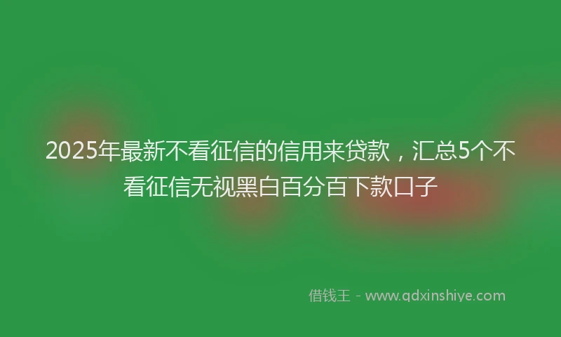 2025年最新不看征信的信用来贷款，汇总5个不看征信无视黑白百分百下款口子