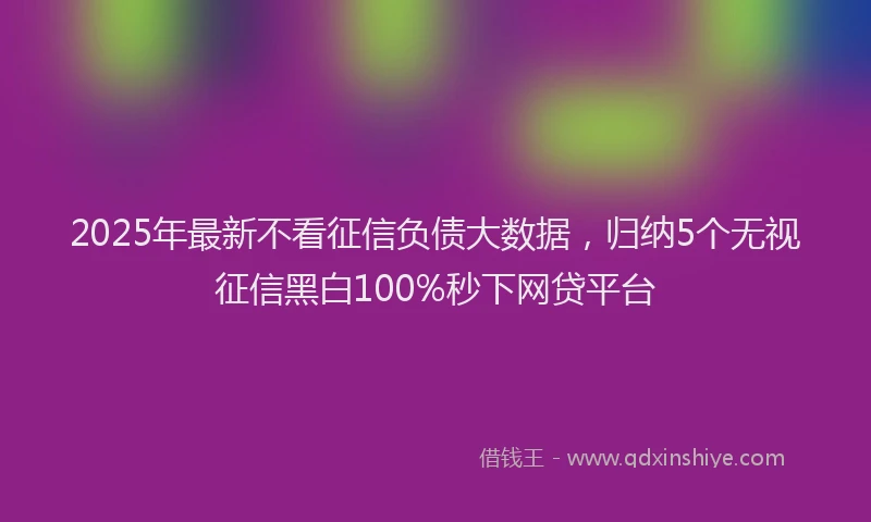 2025年最新不看征信负债大数据，归纳5个无视征信黑白100%秒下网贷平台