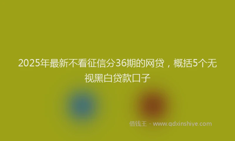 2025年最新不看征信分36期的网贷，概括5个无视黑白贷款口子