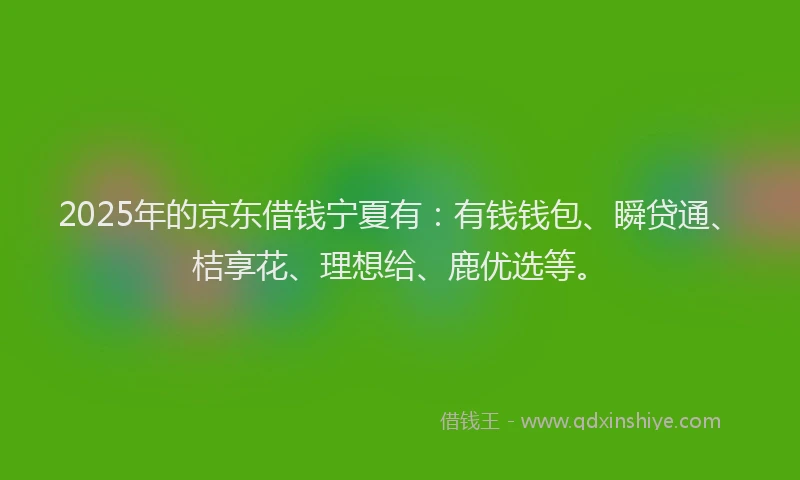 2025年的京东借钱宁夏有：有钱钱包、瞬贷通、桔享花、理想给、鹿优选等。