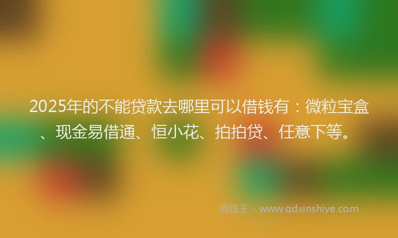 2025年的不能贷款去哪里可以借钱有：微粒宝盒、现金易借通、恒小花、拍拍贷、任意下等。