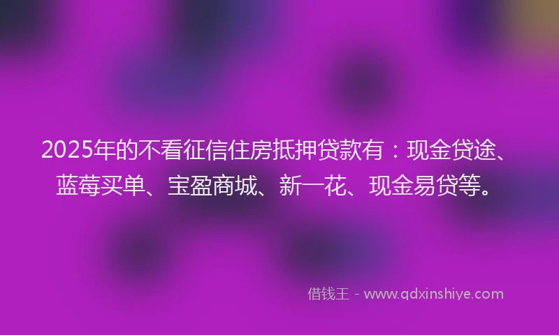 2025年的不看征信住房抵押贷款有：现金贷途、蓝莓买单、宝盈商城、新一花、现金易贷等。