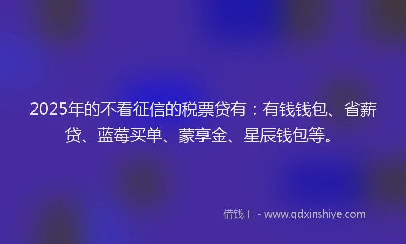 2025年的不看征信的税票贷有：有钱钱包、省薪贷、蓝莓买单、蒙享金、星辰钱包等。