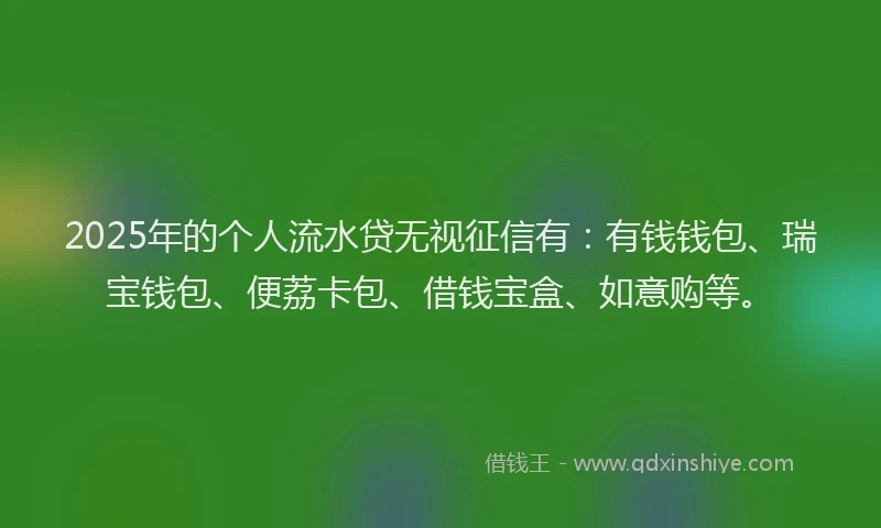 2025年的个人流水贷无视征信有：有钱钱包、瑞宝钱包、便荔卡包、借钱宝盒、如意购等。